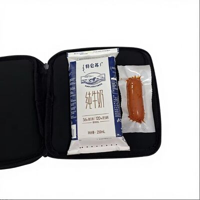 맞춤형 휴대용 샌드위치 난방 가방 USB 전기 12v 식품 난방기 자동차 가구 및 야외 사용 환경 친화적 여행자 남성 여성