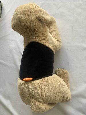 애완동물 허리띠